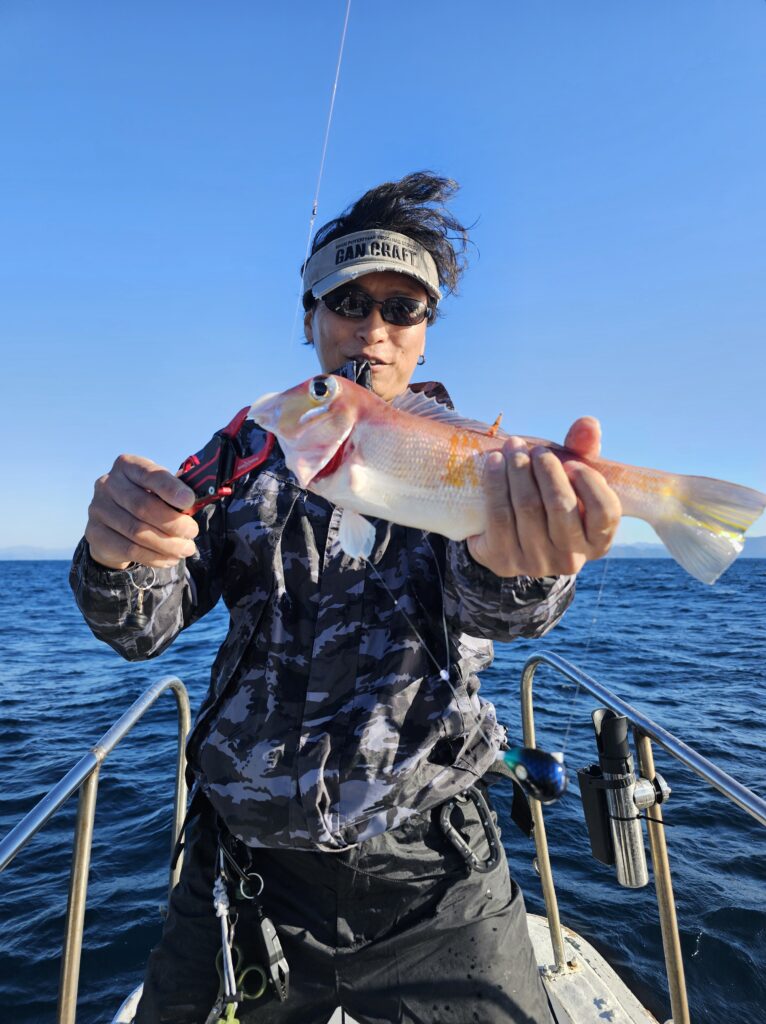 タイラバ　10月29日迄 11月15日タイラバ便 - 遊漁船 マッスルOne